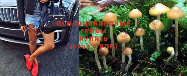 дмт Балахна