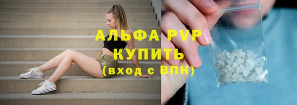 шишки Баксан