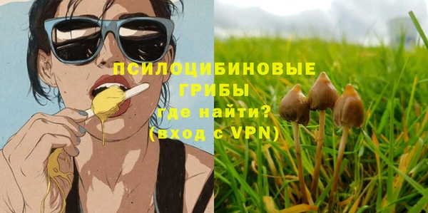 дмт Балахна