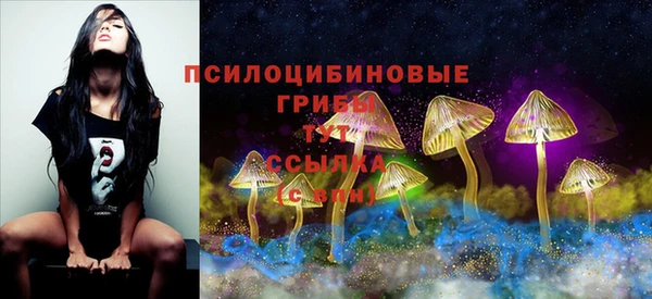 шишки Баксан