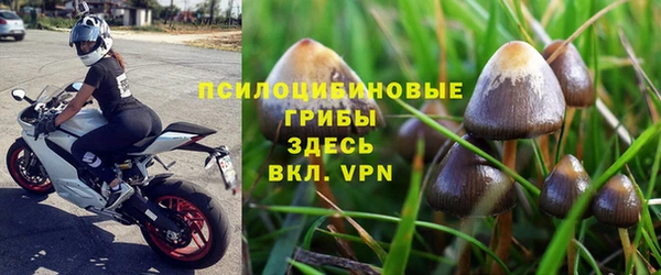 шишки Баксан