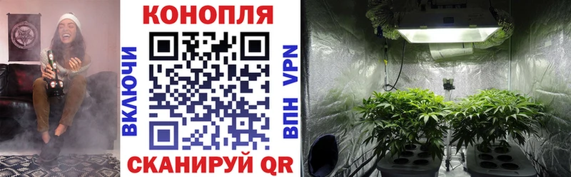 Марихуана Amnesia Чехов